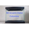 Acuario con tapas de 60 cm (52 litros) x 1